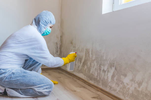 Hvac And Air Duct Mold Remediation inspection of HVAC system in Callaway