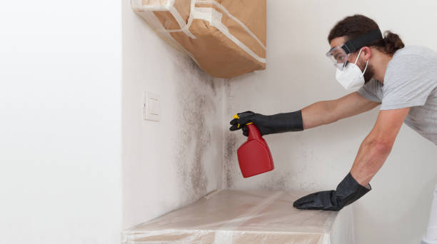 Attic Mold Remediation treatment on roof deck in Callaway