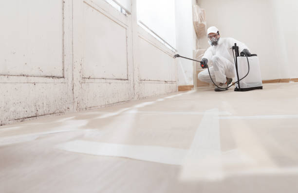 Black mold remediation team in Callaway